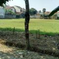 Tanah Dijual Sawangan Depok 2,2 juta/m2 Luas 2500 m2