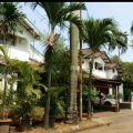 Rumah Dijual Bintaro 11 M Luas 615 m2