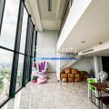 New Property Update